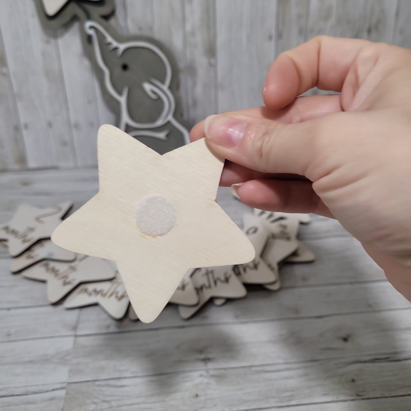 Elephant baby milestone
