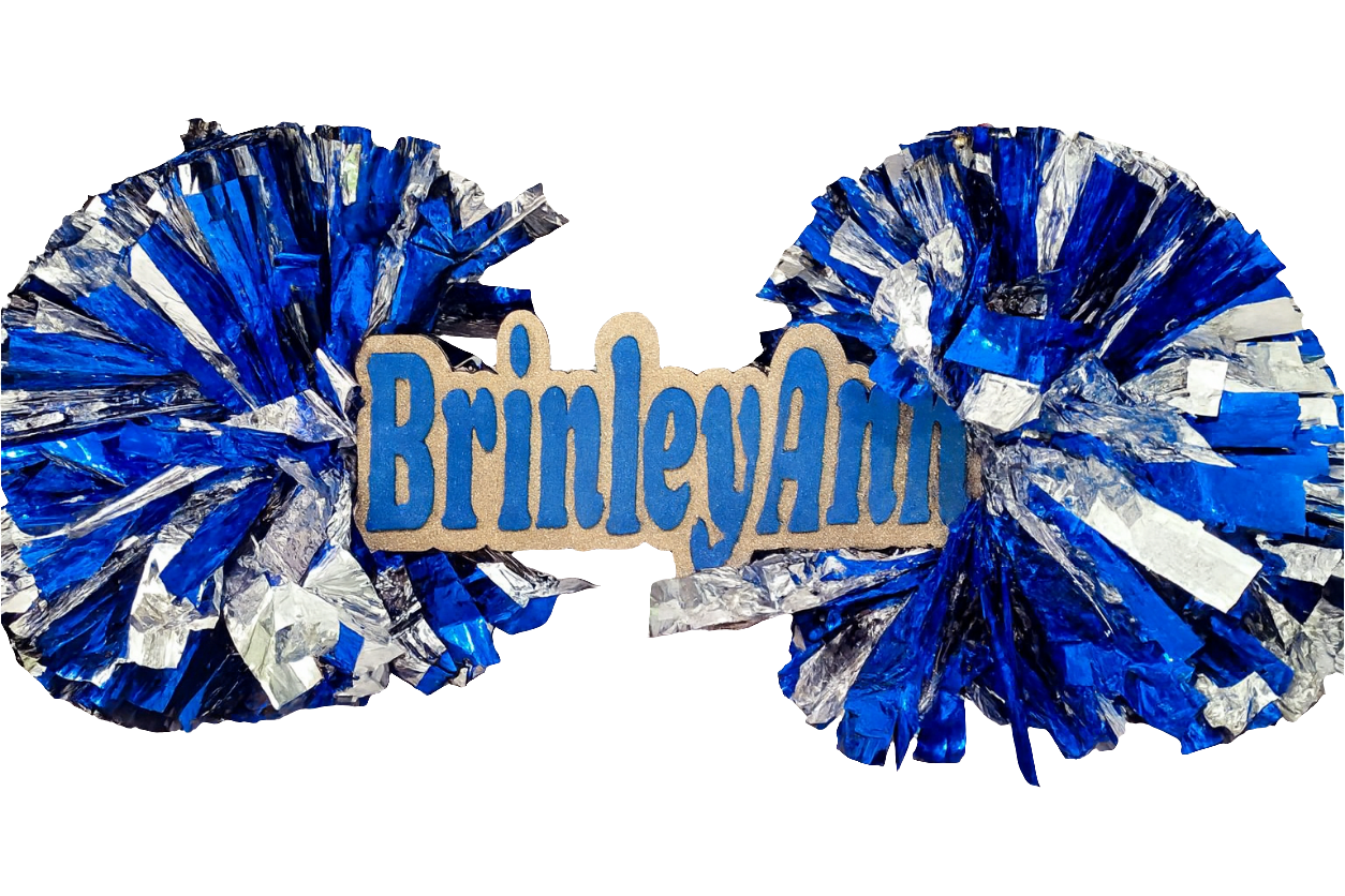 Personalized Cheer Stick with Name | Custom Pom Pom Spirit Stick | Cheerleader Gift