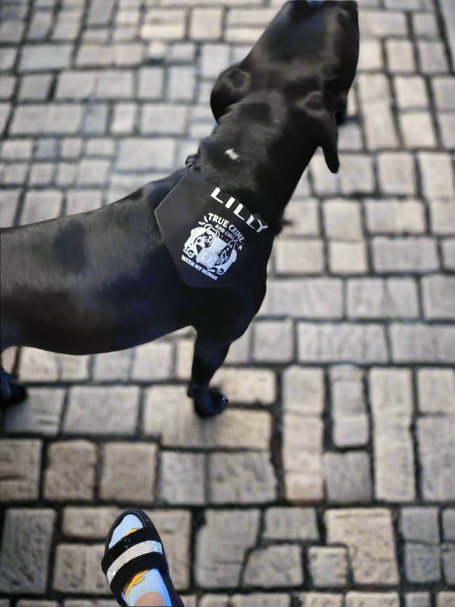 True Crime & Chill Matching Set – T-Shirt + Personalized Dog Bandana